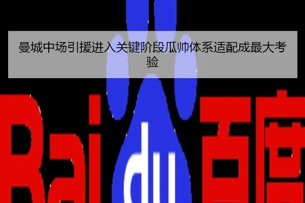 曼城中场引援进入关键阶段瓜帅体系适配成最大考验